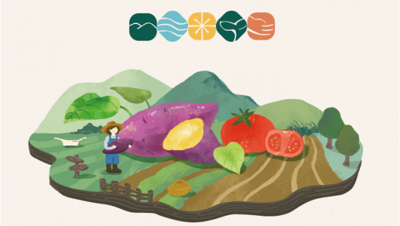 [2020 한국농식품유통대상 최우수상] 한울푸드, 국산 고구마로 말랭이·스틱 가공해 농가소득 지지
